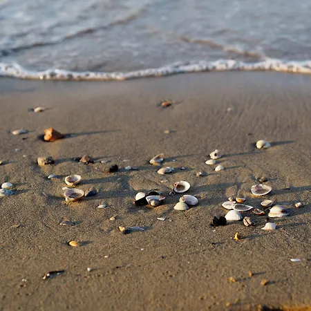 Find Peace Near The Sea In Our Welcoming Flat Apartment