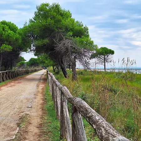 Find Peace Near The Sea In Our Welcoming Flat Apartment